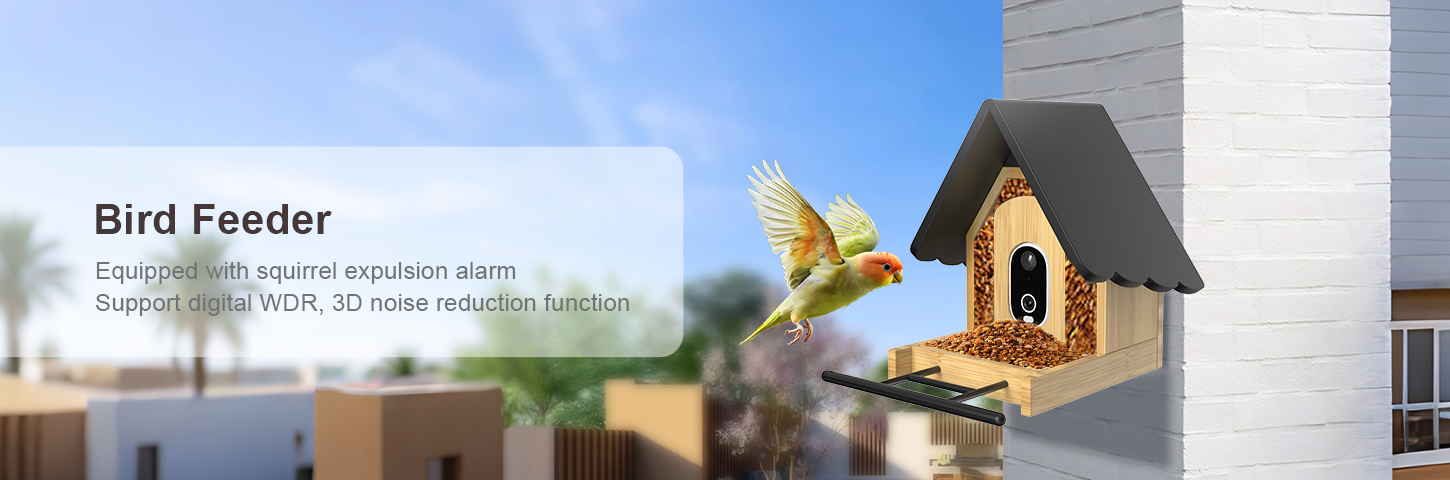 首页推荐产品一